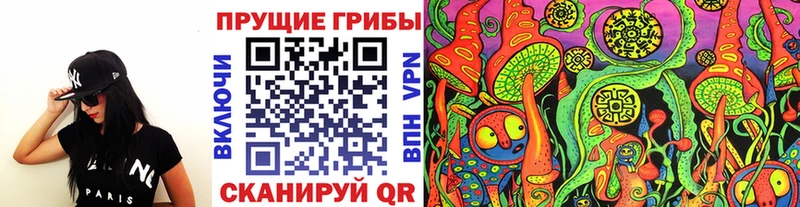 закладки  Тырныауз  Псилоцибиновые грибы Magic Shrooms 